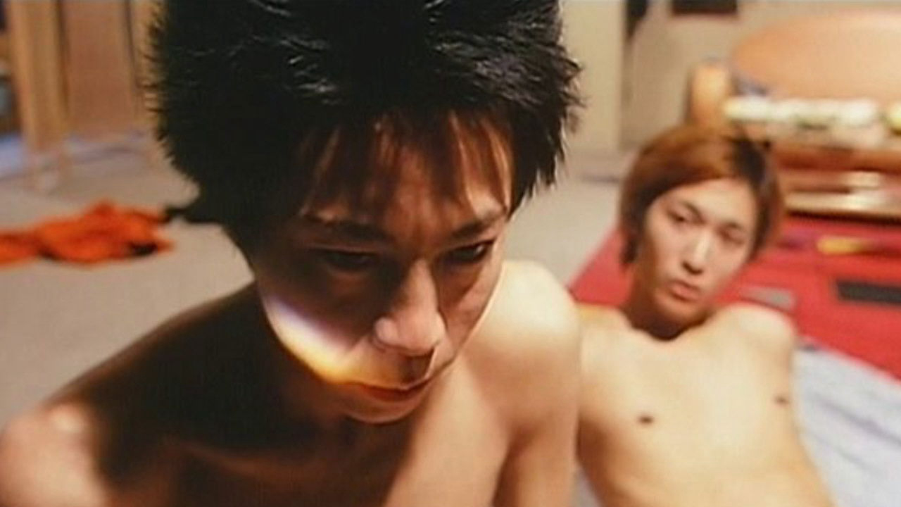 Hai người yêu nhau - Ảnh 2